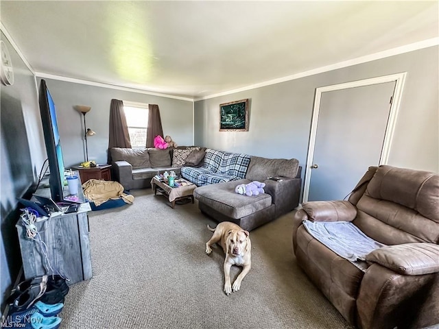 carpeted living room with crown molding