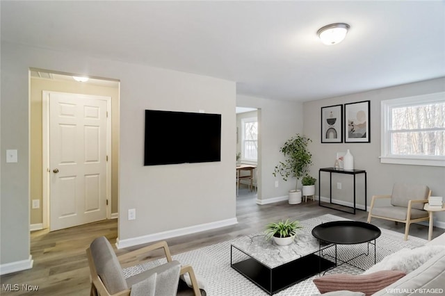 living room with hardwood / wood-style flooring and a wealth of natural light