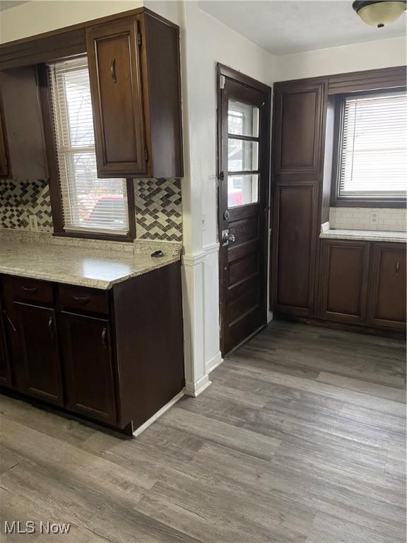 kitchen featuring dark brown cabinetry, a wealth of natural light, and light wood-type flooring