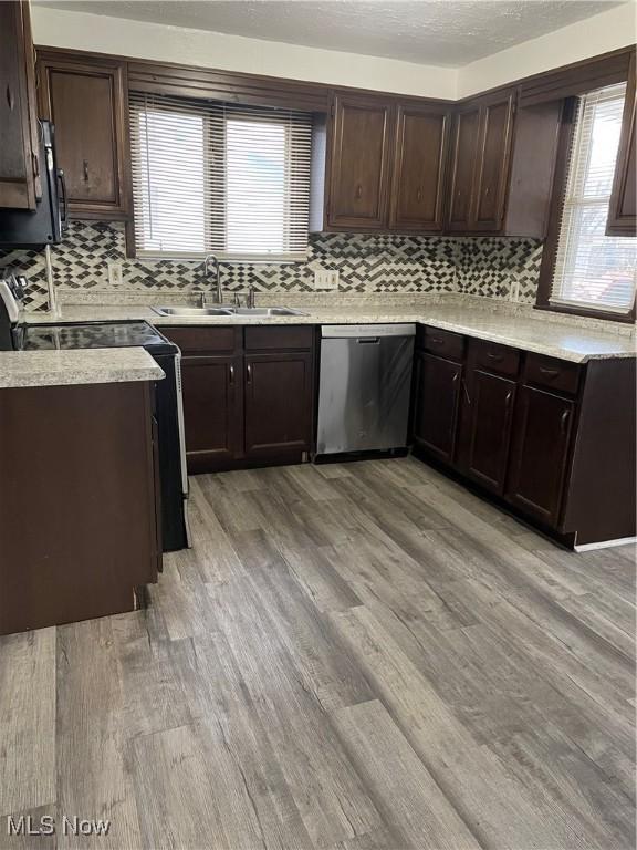 kitchen featuring a wealth of natural light, sink, stainless steel dishwasher, dark brown cabinets, and light wood-type flooring