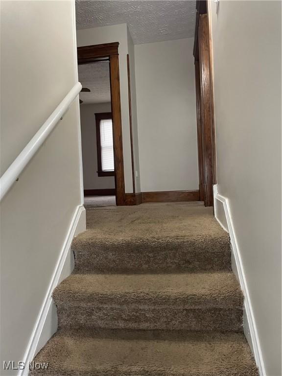 staircase with carpet floors and a textured ceiling