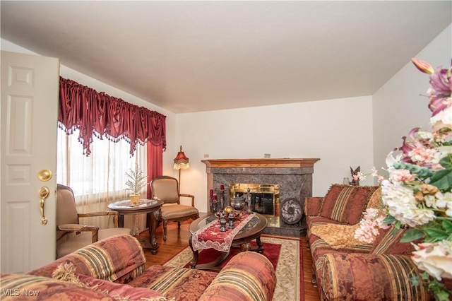 living room with a premium fireplace and hardwood / wood-style floors