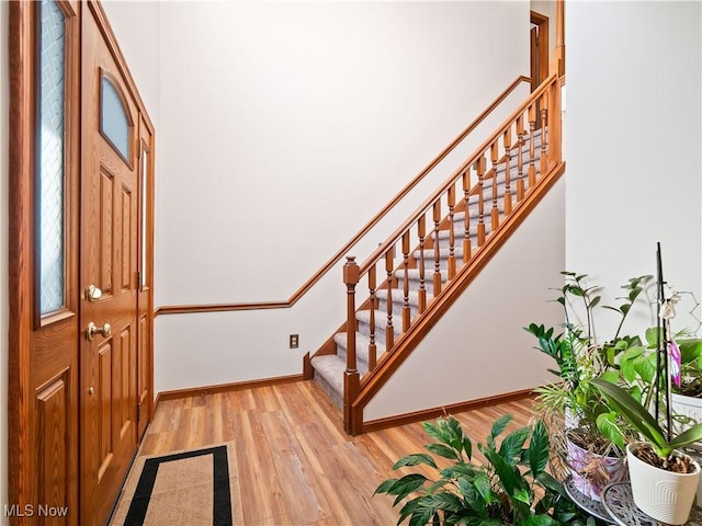 foyer entrance with light hardwood / wood-style flooring