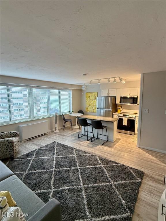 living room featuring light hardwood / wood-style flooring, rail lighting, and a textured ceiling