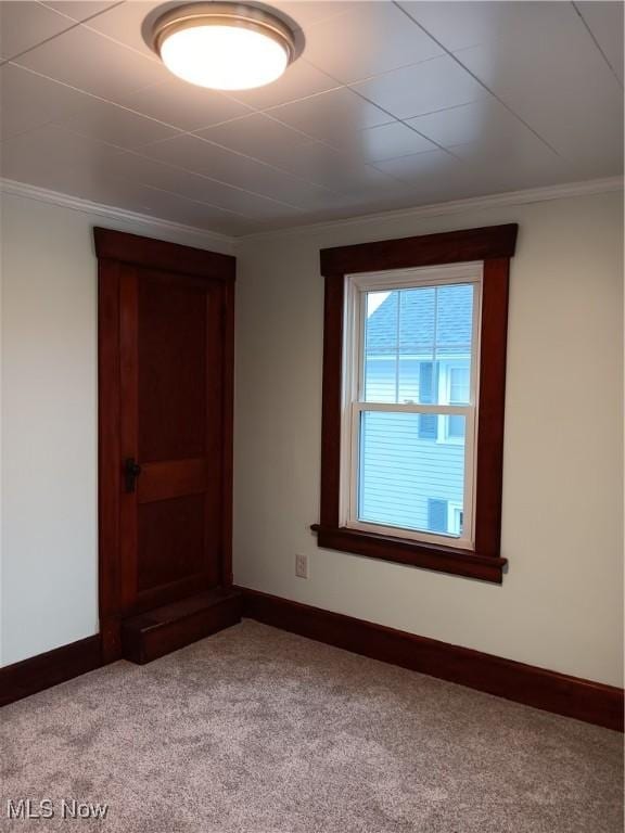 empty room featuring crown molding and light colored carpet