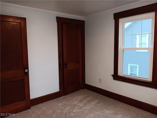 unfurnished bedroom featuring crown molding and carpet flooring