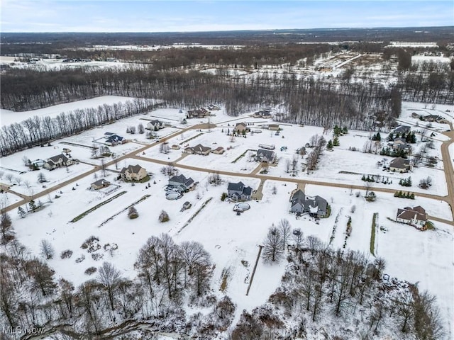 view of snowy aerial view