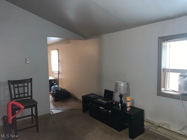 misc room with lofted ceiling, a baseboard radiator, and carpet