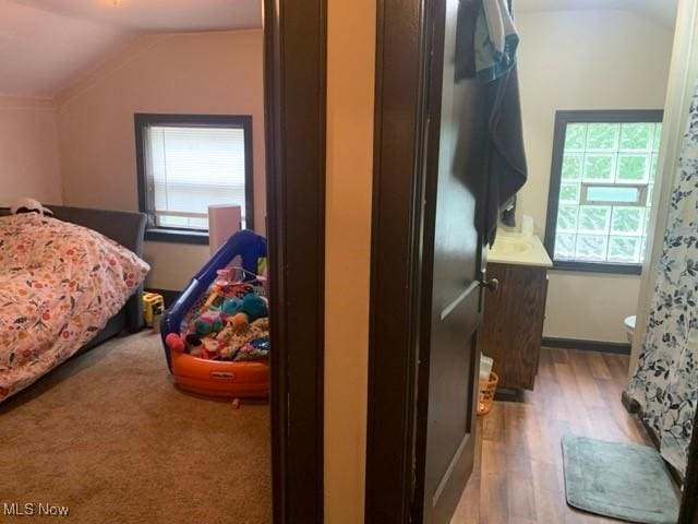 bedroom featuring multiple windows, vaulted ceiling, and light hardwood / wood-style flooring