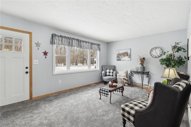 living area featuring carpet flooring and a textured ceiling