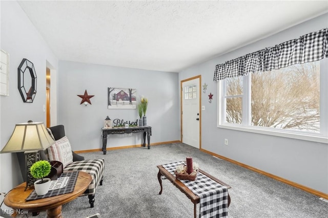 sitting room with plenty of natural light, carpet flooring, and a textured ceiling