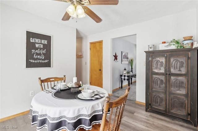 dining room featuring hardwood / wood-style flooring and ceiling fan