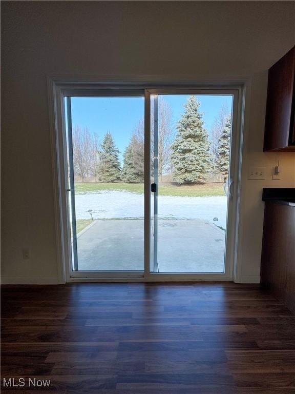 doorway to outside with dark hardwood / wood-style flooring