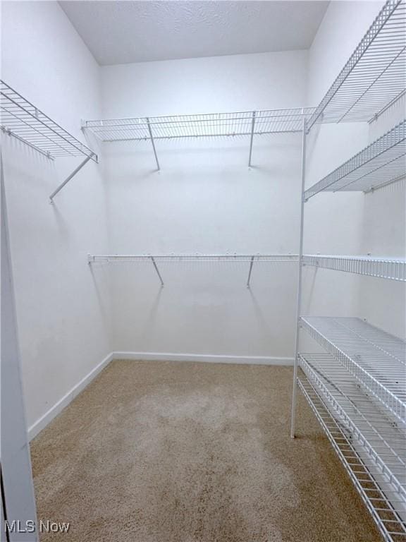 spacious closet with carpet flooring