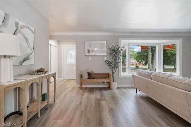 living room with hardwood / wood-style flooring