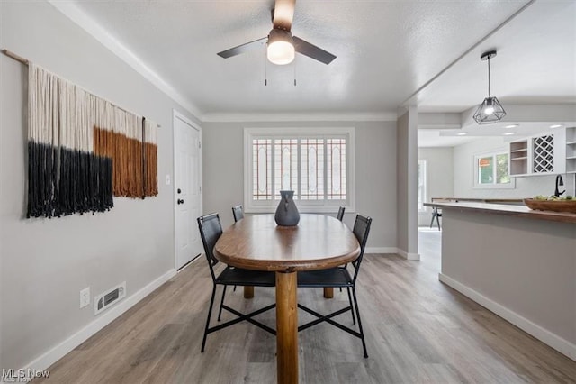 dining area with ceiling fan, sink, and light wood-type flooring