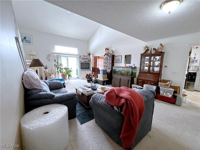 carpeted living room featuring lofted ceiling and a textured ceiling