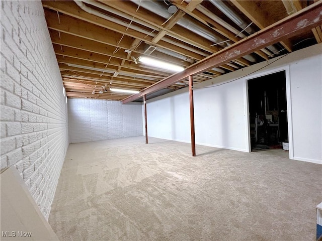 basement with brick wall