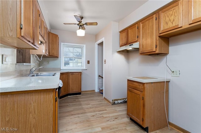 kitchen with ceiling fan, sink, and light wood-type flooring