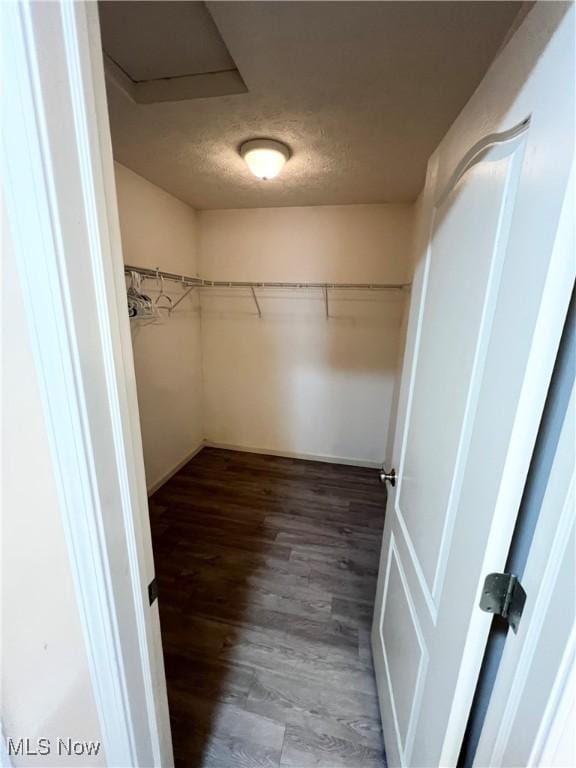 walk in closet with dark wood-type flooring