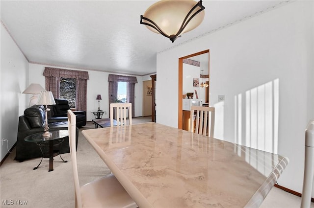 dining space with light carpet