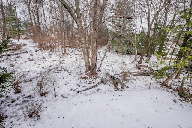 view of snowy landscape