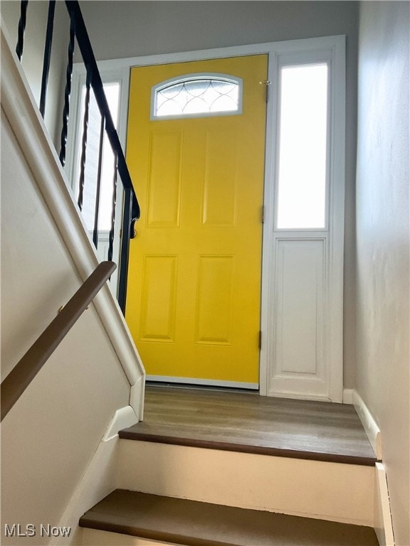 foyer with hardwood / wood-style flooring and a healthy amount of sunlight