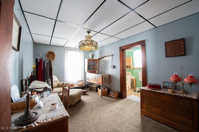 living area with carpet floors, plenty of natural light, and a paneled ceiling