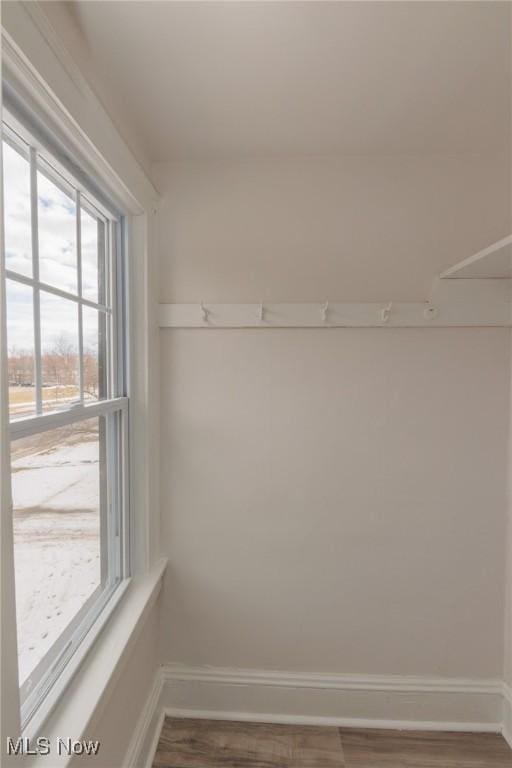 walk in closet featuring hardwood / wood-style flooring