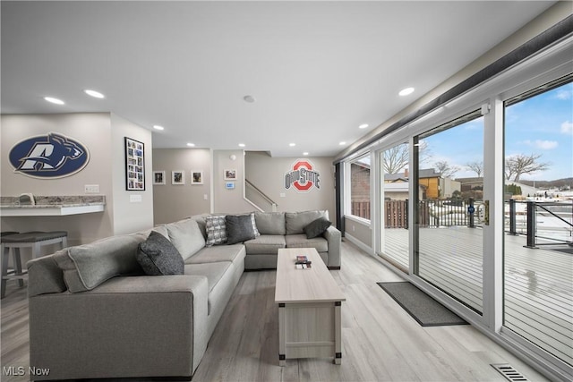 living room featuring wood-type flooring