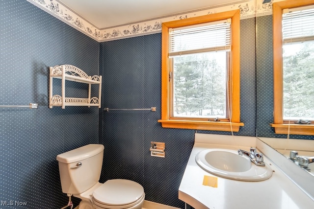 bathroom with vanity, a wealth of natural light, and toilet