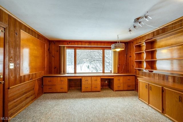 unfurnished office featuring light carpet, built in desk, rail lighting, and wood walls