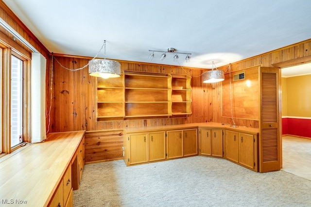 interior space with pendant lighting, rail lighting, light carpet, and wooden walls