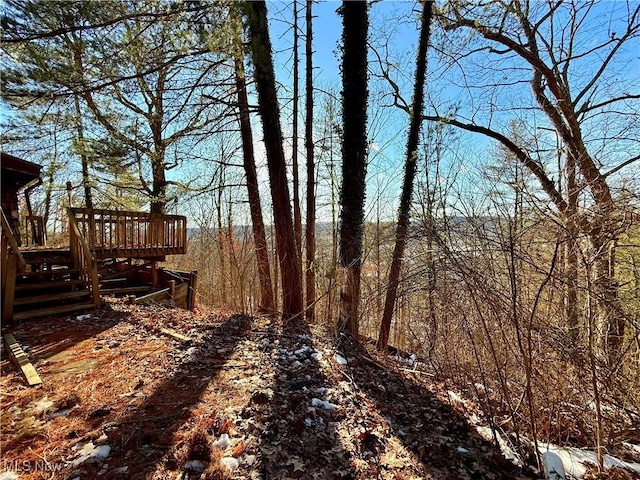 view of yard with a wooden deck