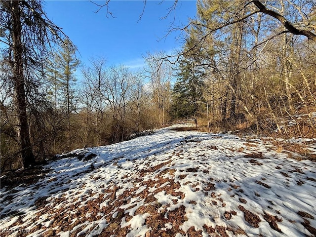 view of snowy landscape