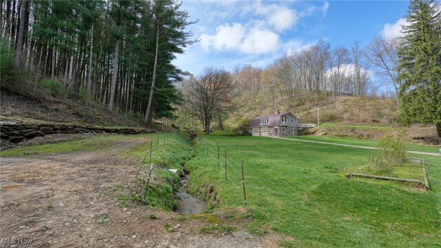 2250 Indian Camp Run Rd, New Concord, OH 43762 - view of yard