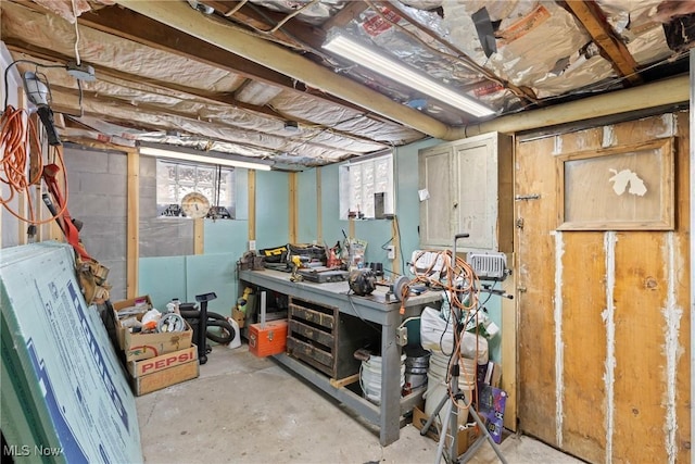 basement featuring a workshop area