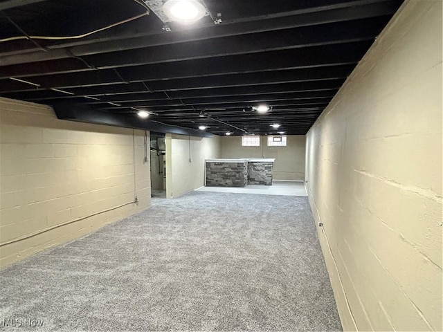 basement featuring carpet