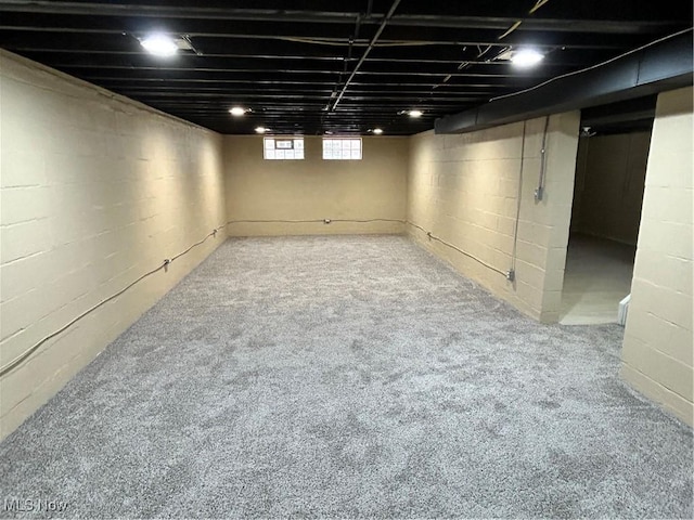 basement with carpet flooring