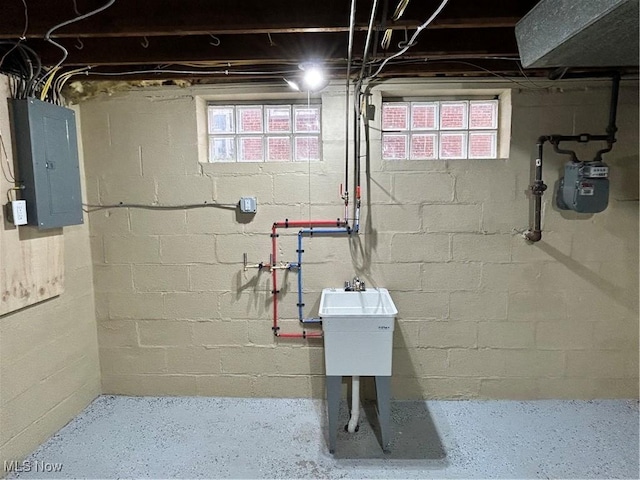 basement with electric panel