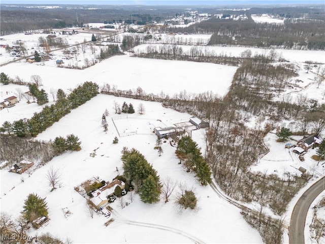 view of snowy aerial view