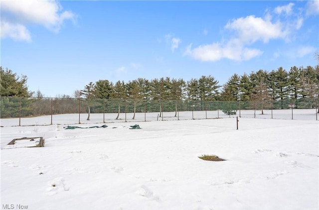 view of snowy yard