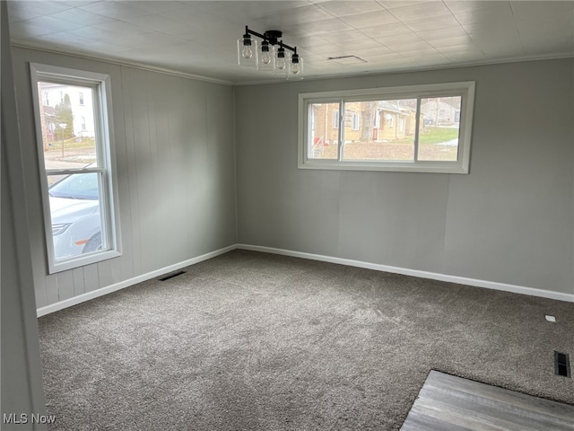 carpeted spare room featuring ornamental molding and a healthy amount of sunlight