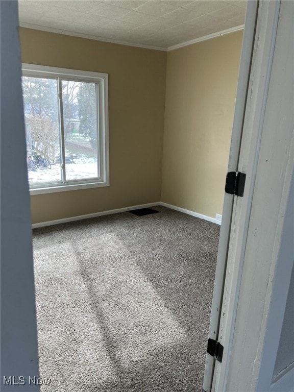 spare room featuring crown molding and carpet floors