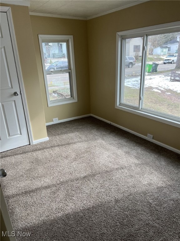 carpeted spare room with ornamental molding