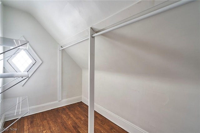 spacious closet with lofted ceiling and dark hardwood / wood-style flooring