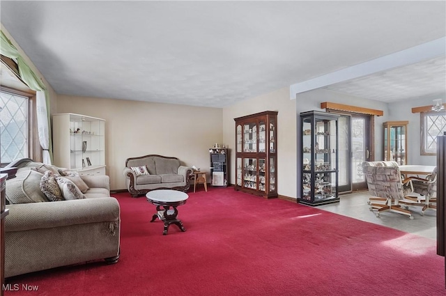 living room featuring carpet flooring