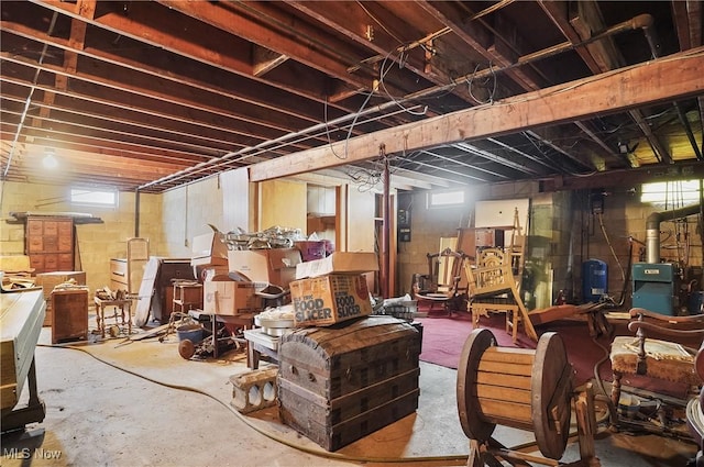 basement featuring a wealth of natural light