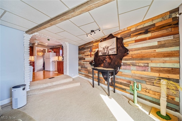 hallway with light colored carpet, track lighting, and wood walls