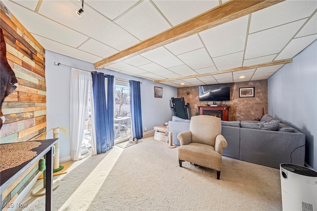 carpeted living room with a paneled ceiling